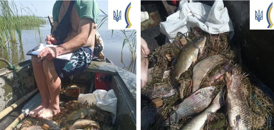 На Кременчуці спіймали браконьєра з сітками