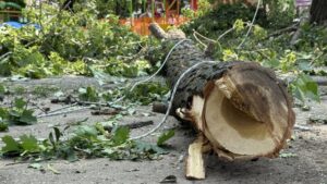 У Полтаві стан юного постраждалого під деревом стабілізувався