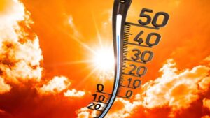 Екстремальна спека: Полтавщина під +38°