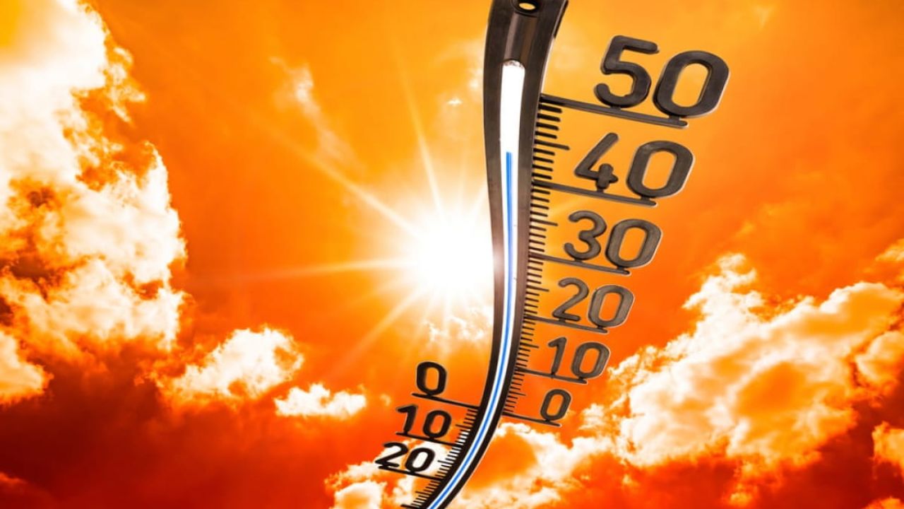 Екстремальна спека: Полтавщина під +38°
