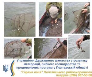 Браконьєри знищують черепах у Сулинській затоці