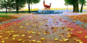 Прогноз погоди на вересень: тепло й сонячно