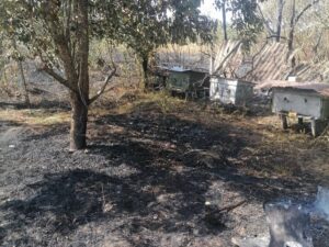 Пожежа на пасіці у Хорішках: знищено три вулики