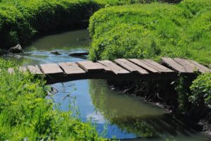 Маловоддя на річках Полтавщини: Сула та Ворскла у небезпеці