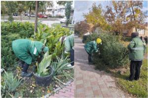 Озеленення Кременчука: підготовка до зими