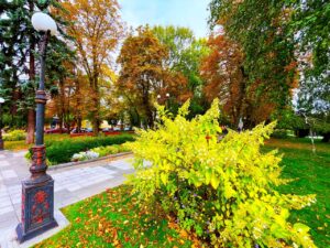 Дощова погода очікується на Полтавщині цього тижня