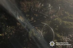 У Миргородському районі водій ВАЗу збив велосипедистку