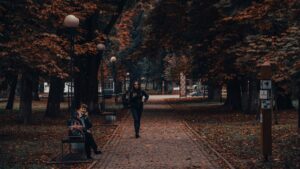 Полтава отримала нові станції моніторингу повітря