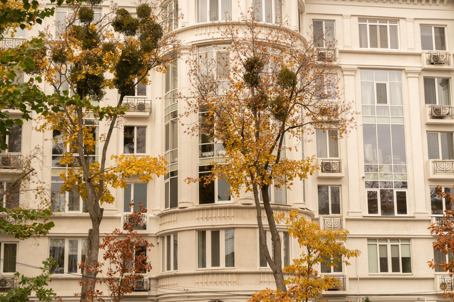 Погода у Полтаві: прогноз на кінець листопада