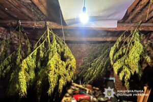 На Полтавщині вилучено майже 6 кг наркотиків у 60-річного чоловіка
