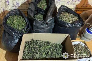 На Полтавщині викрито наркогрупу: вилучено 30 кг канабісу