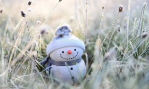 Морози і снігопади в Україні: коли чекати зміни погоди?