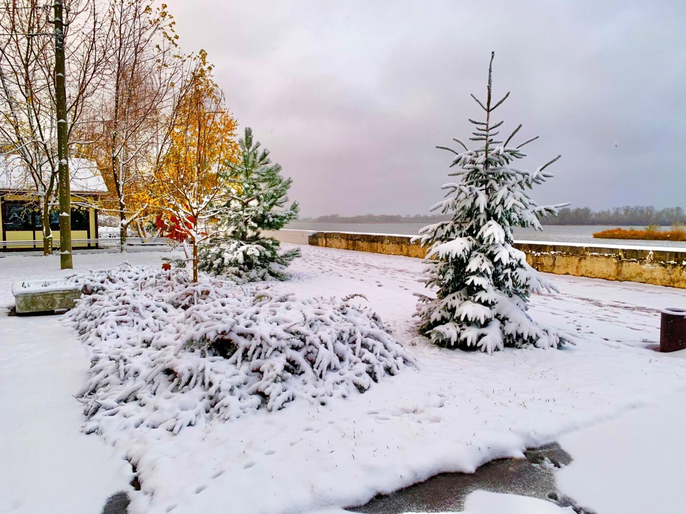 Зміни погоди в Полтаві: чекаємо мокрий сніг