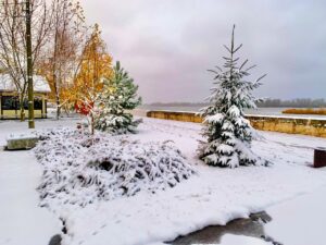 Погодні зміни у Полтаві: очікується мокрий сніг