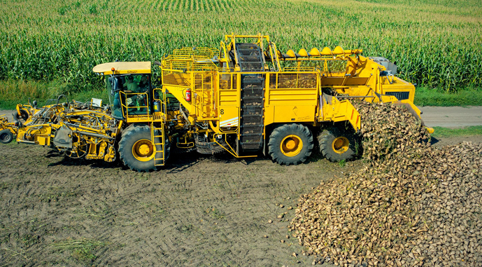 Полтавщина рекордно зібрала цукровий буряк