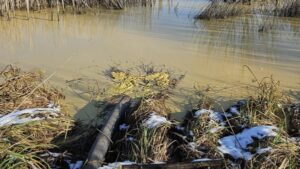 Штраф за злив нечистот: на Полтавщині покарали пенсіонера