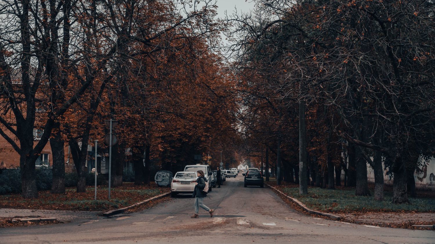 Погодні умови в Полтавщині на найближчі дні