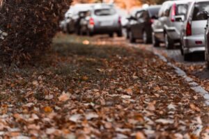 Грудневі хмари: якою буде погода у Полтаві