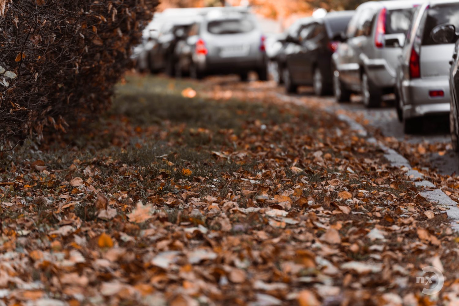 Грудневі хмари: якою буде погода у Полтаві