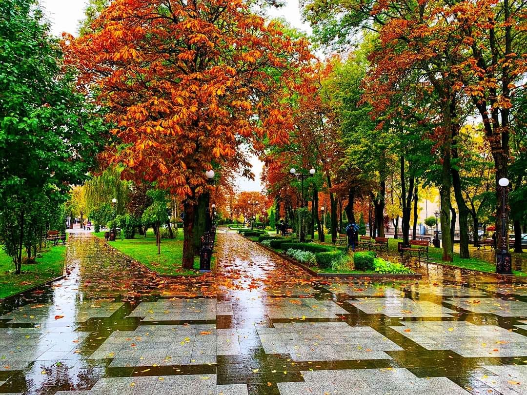Листопад у Полтаві встановив температурний рекорд