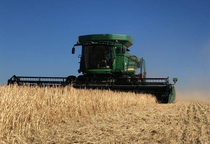 Понад 4 мільйони тонн зерна зібрано у Полтавській області