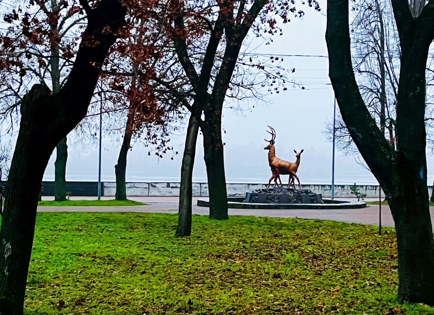 Зимові заморозки та сніг вже на Полтавщині