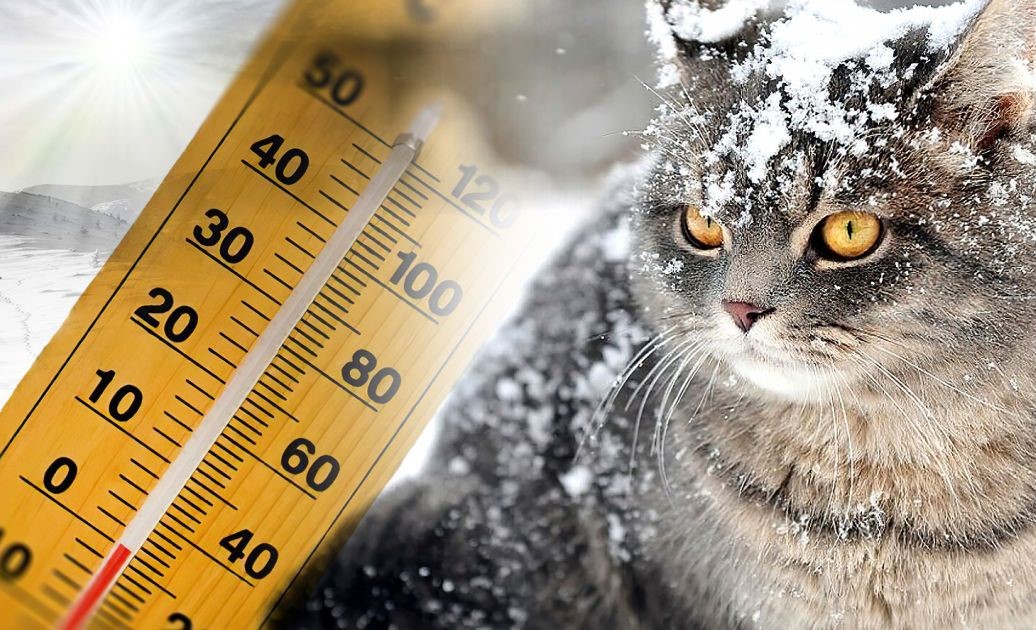 Очікується похолодання до -11°: зміни в погоді невдовзі