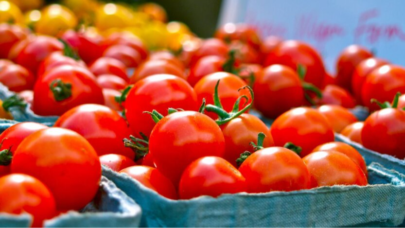 Ціни на помідори впали: актуальна ситуація на ринку