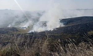 За день виникло 8 пожеж на Полтавщині